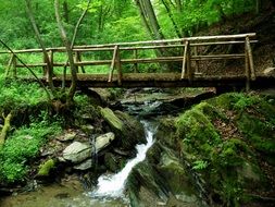 Wooden bridge over a stream in a green forest