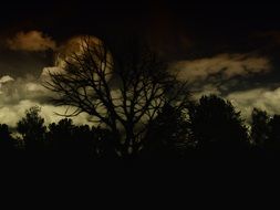 gloomy night landscape