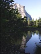 wild nature in the yosemite national park