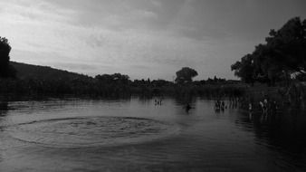 twilight over the pond