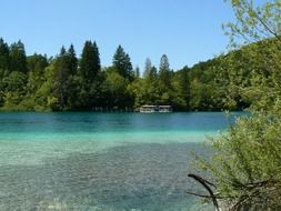 Beautiful clear lake with colorful plants in Croatia