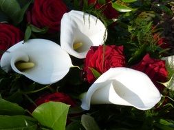 romantic white bouquet