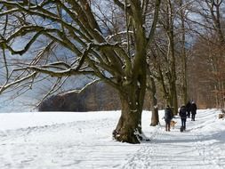 winter road on the edge of the forest on a sunny day