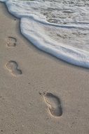 footprints in the sand by the ocean