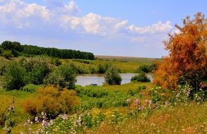 landscape of an autumn meadow
