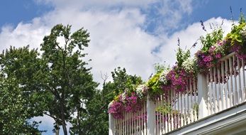 white balcony in lush colorful flowers