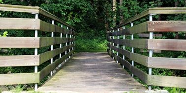 wooden bridge among green trees