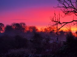 delightful beauty sunrise