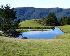 small lake among a green meadow on a sunny day