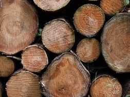 stacked round logs