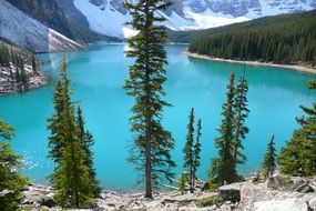 incredibly beautiful landscape view of the forest lake