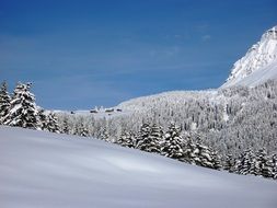white wintry cold new zealand landscape