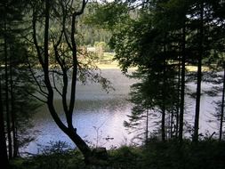 Arbersee is a typical glacial lake