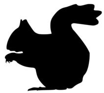 silhouette of a squirrel with a nutlet