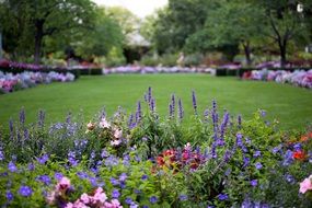 wonderful blooming park