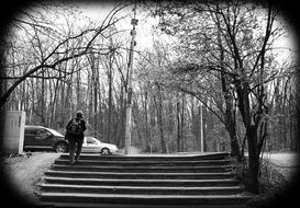 walk park stairs black and white photo