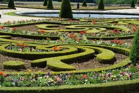 versailles garden flowers