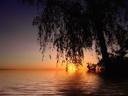 evening lake romantic landscape