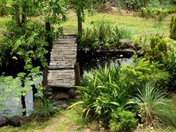 garden pond