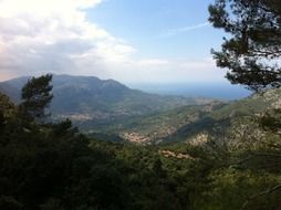 Forest on a mountains