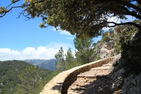 trail in the mountains under a tree