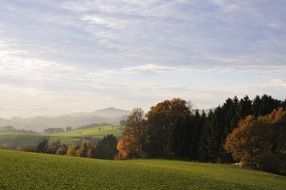 autumn fog above meadow and forest, austria, mühlviertel