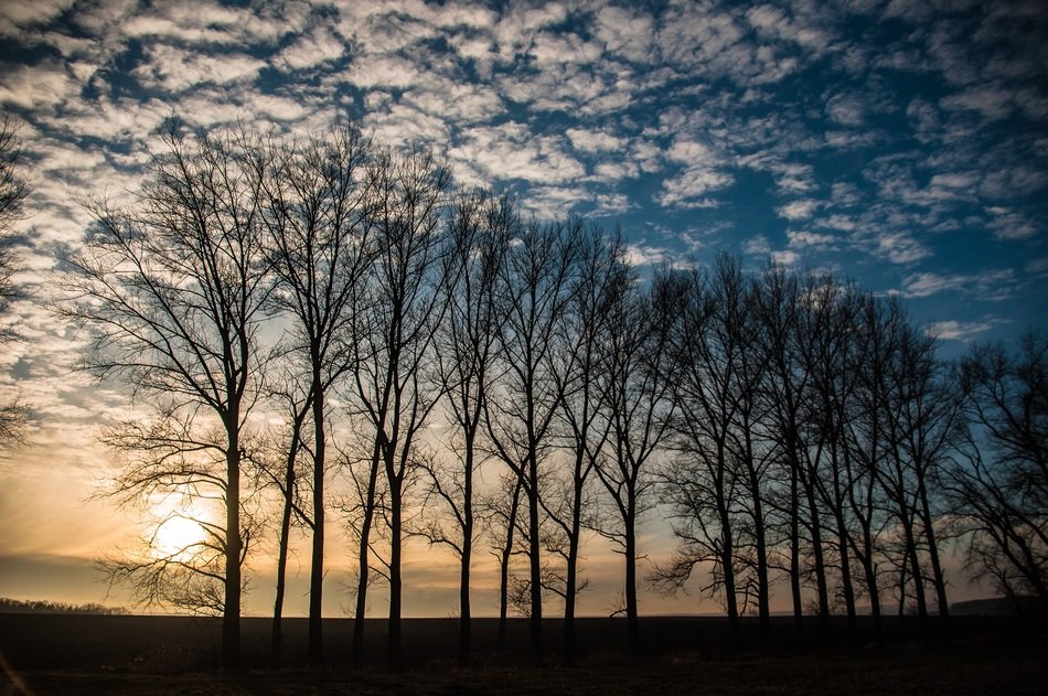 back light sky