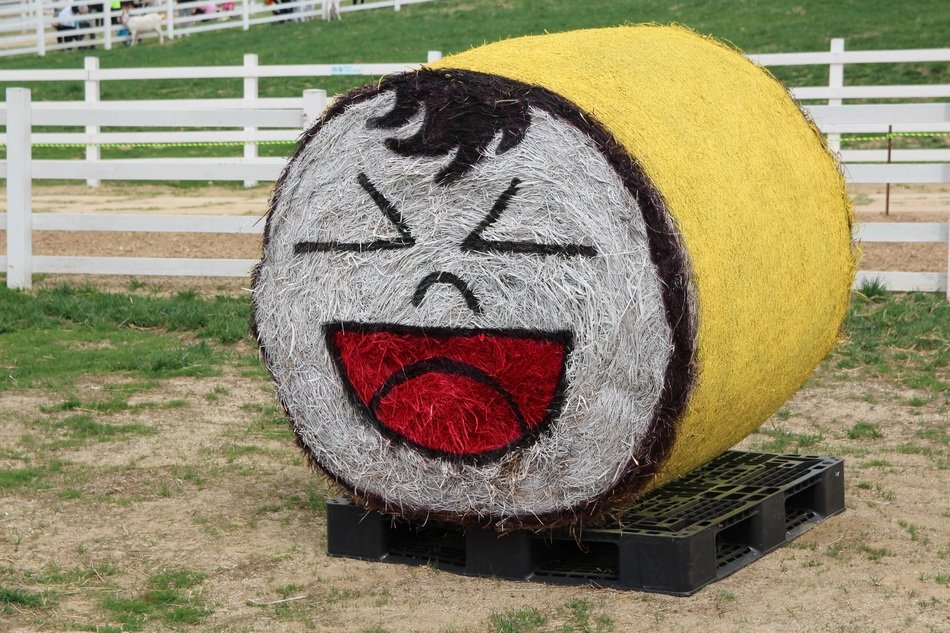 cute buffoonery sculpture