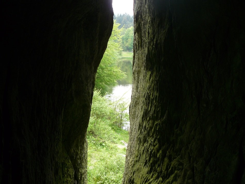 view of green trees through the cave