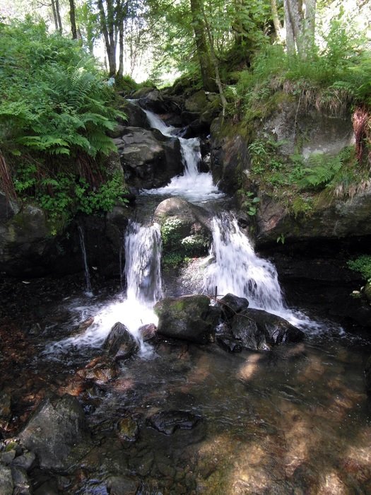 Beautiful stream in the Black Forest in Germany