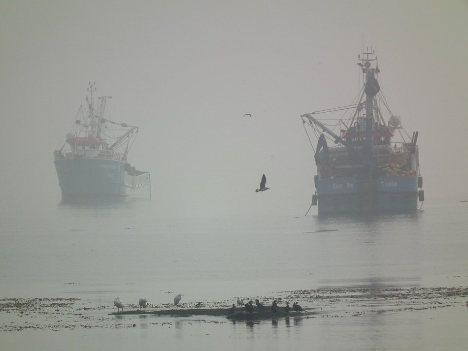 ships on the sea in the fog