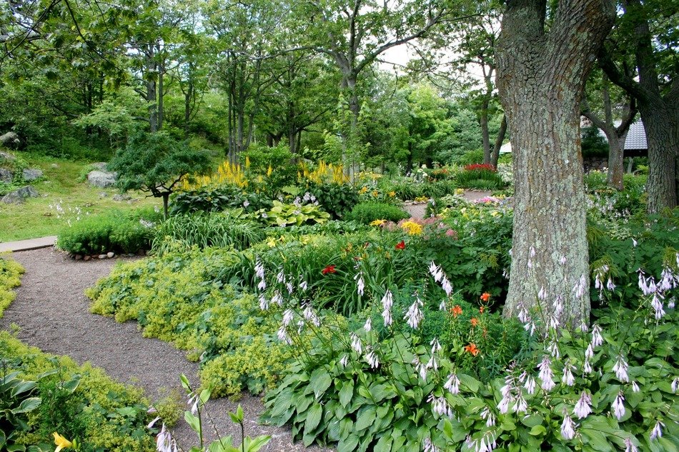landscape design in the park