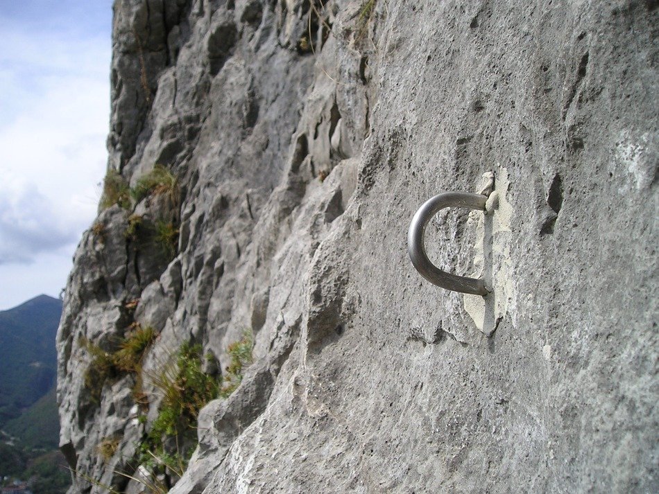 bühler hook