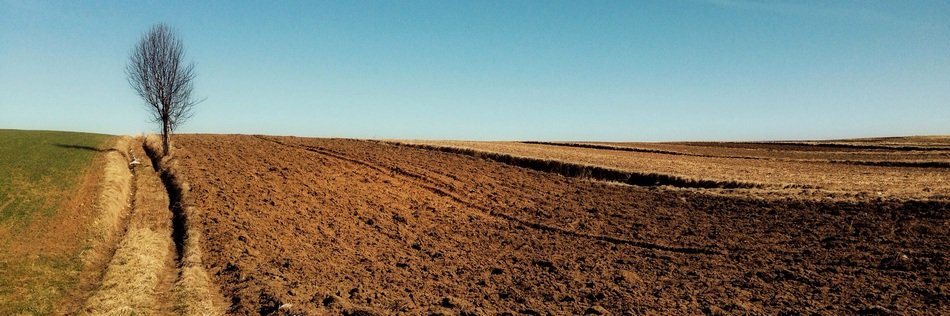 Landscape of the Empty fields