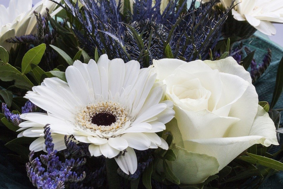 roses gerbera composites