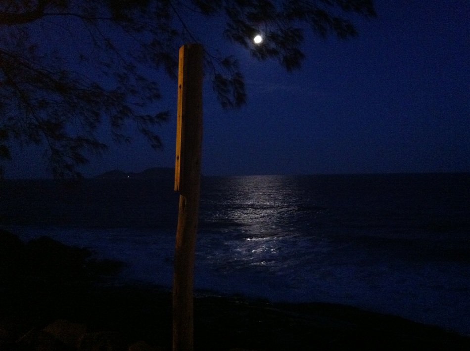moonlight on ocean