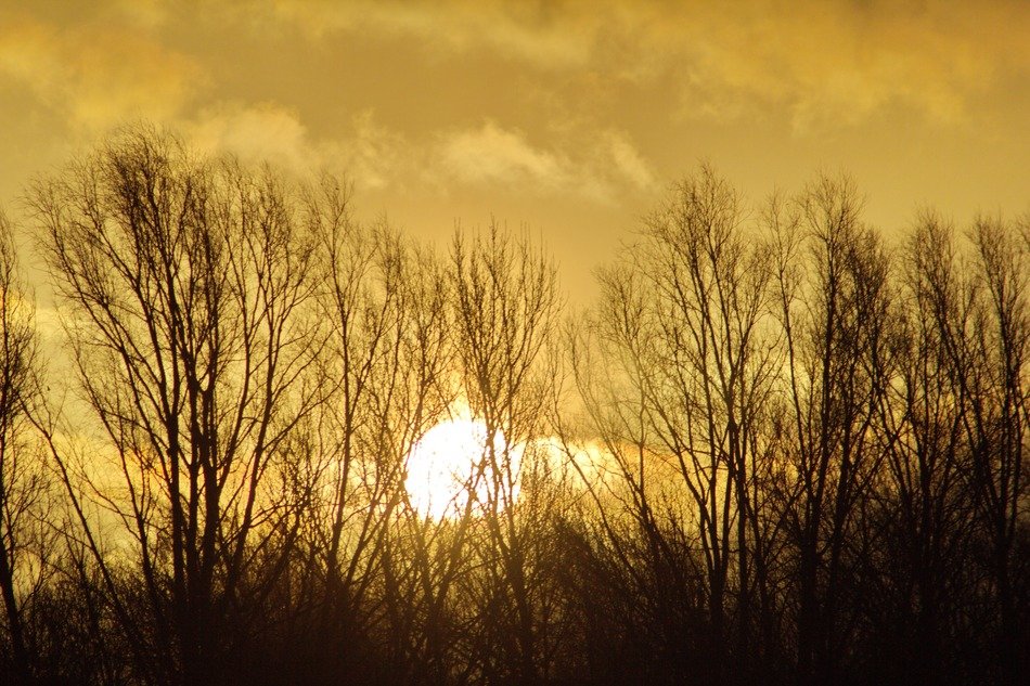 sunrise behind the trees