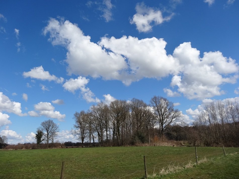 lue sky over green meadow and trees
