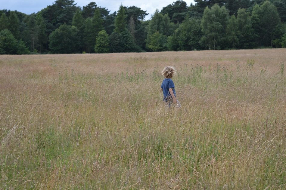 happy boy in fields playing