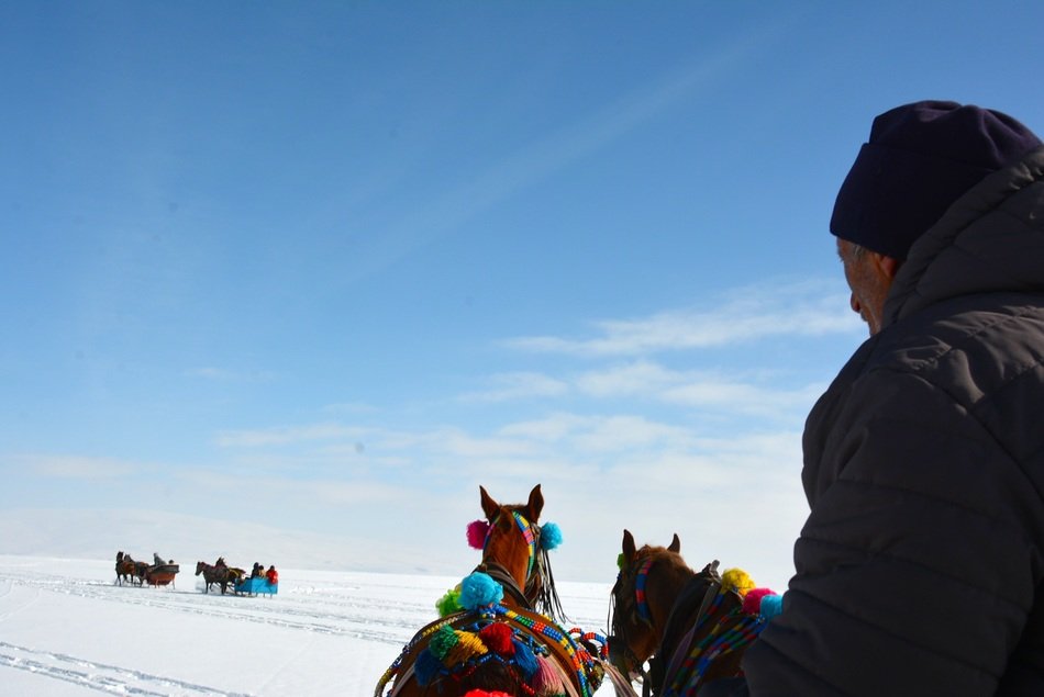 Horse-drawn carriage on the ice
