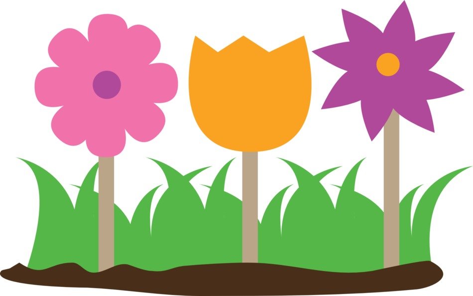 Different tulips in the garden