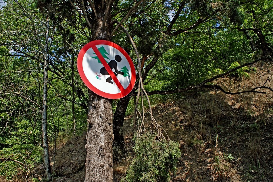 funny forest sign in ukraine
