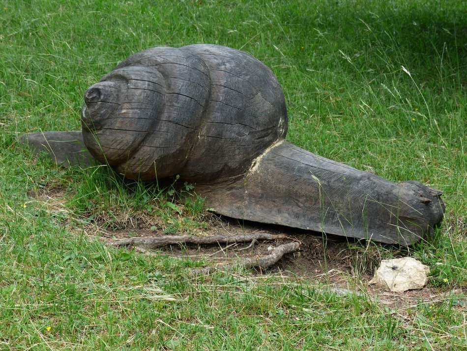 Wooden snail statue on the grass