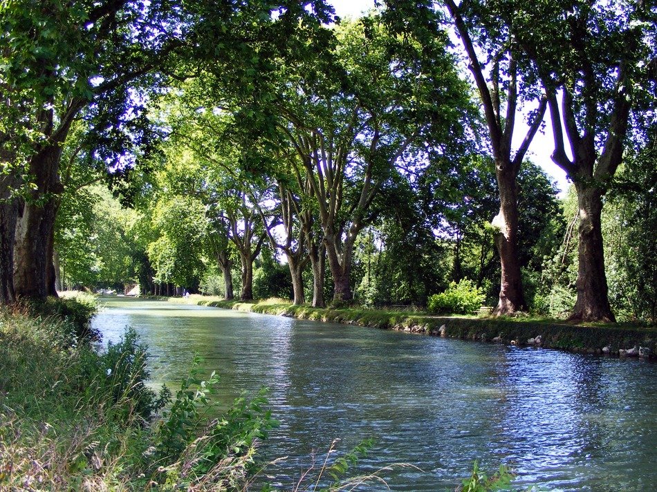 water channel between trees in france