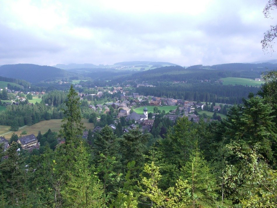 hinterzarten black forest