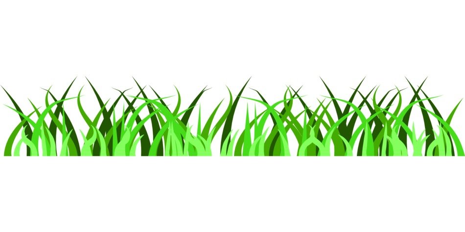 graphic image of green glade