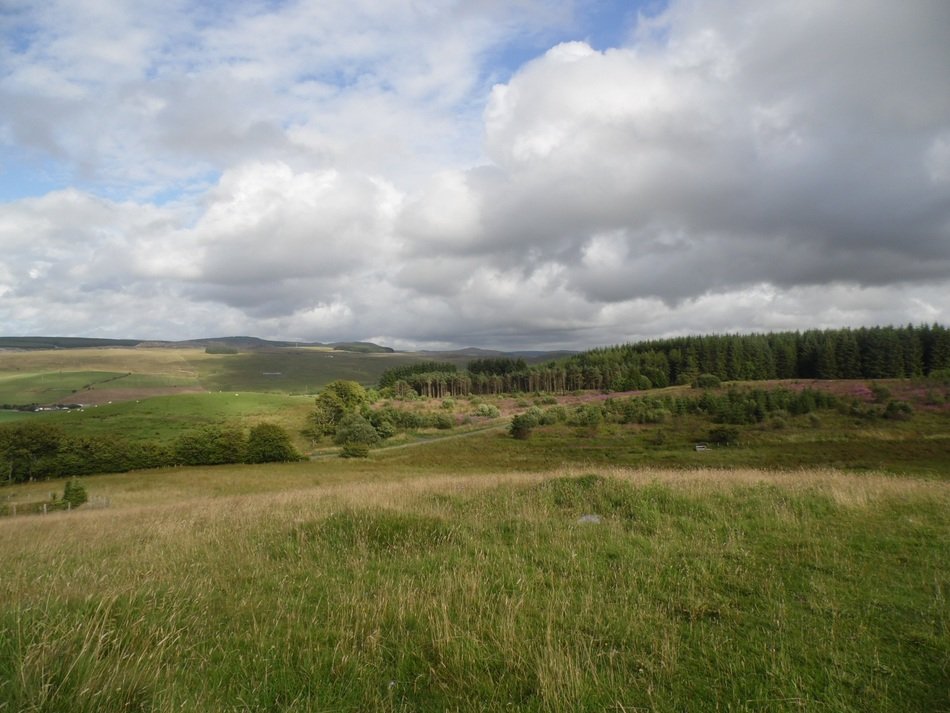 high green grass in the highlands in Scotland