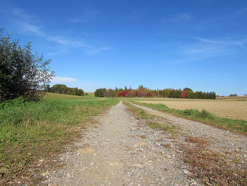 Landscape with the lane in Germany