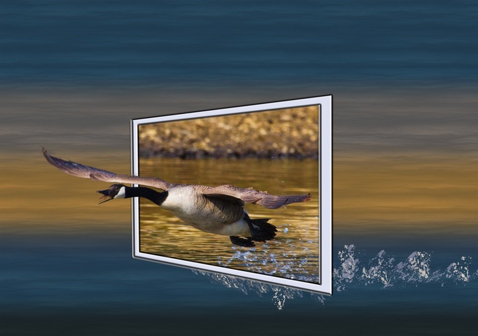 goose in digital art