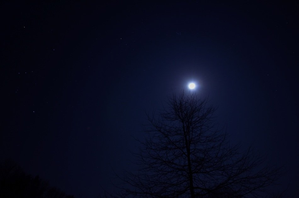 Picture of night sky